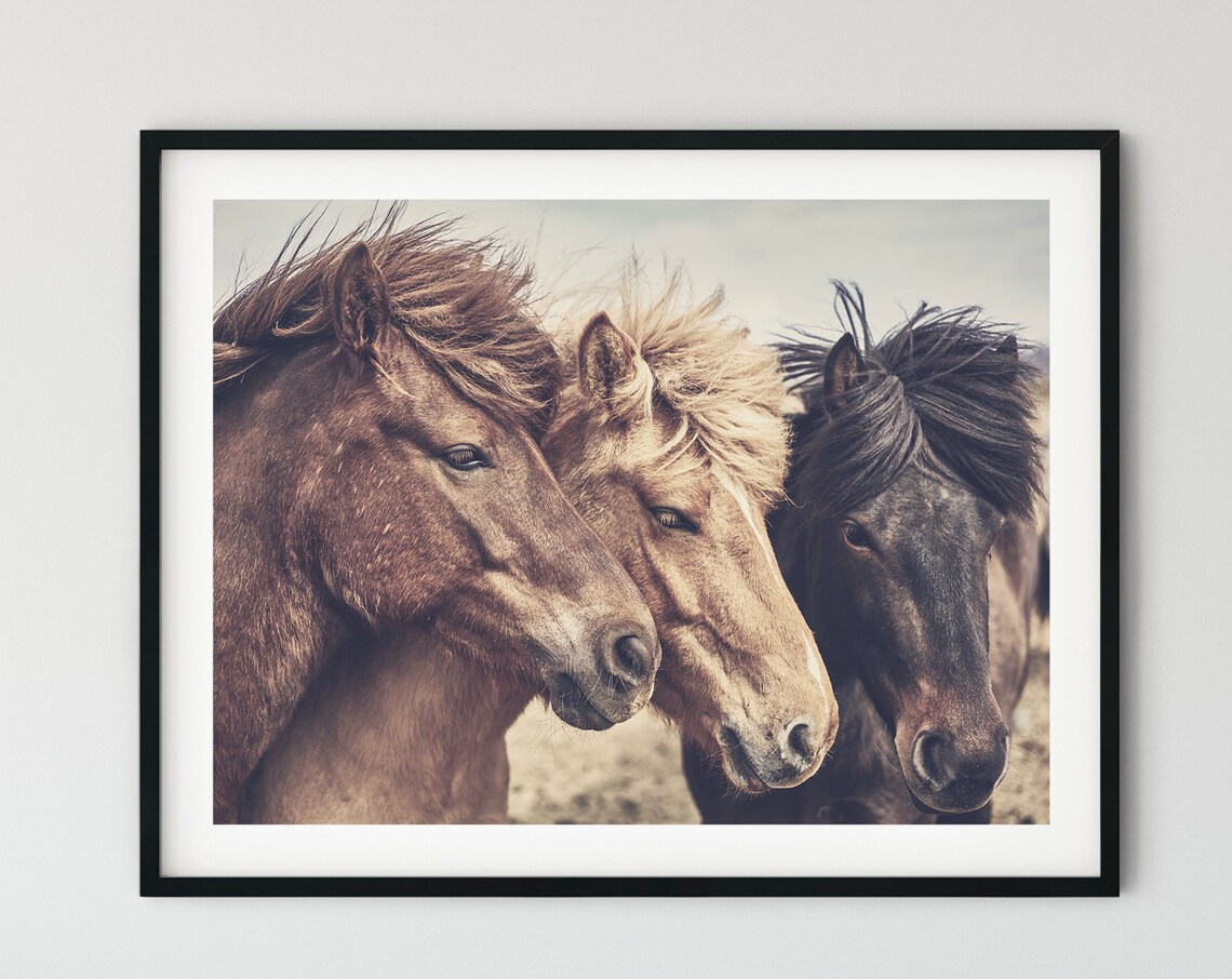 Three Wild Horses Rustic Ranch Farm Art Print