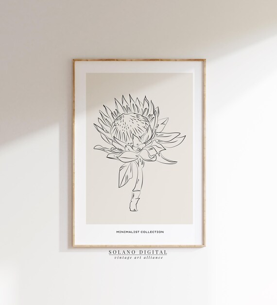 Protea Flower Line Art Botanical Minimalist Floral Wall Poster Modern Nature Illustration Plant Decor