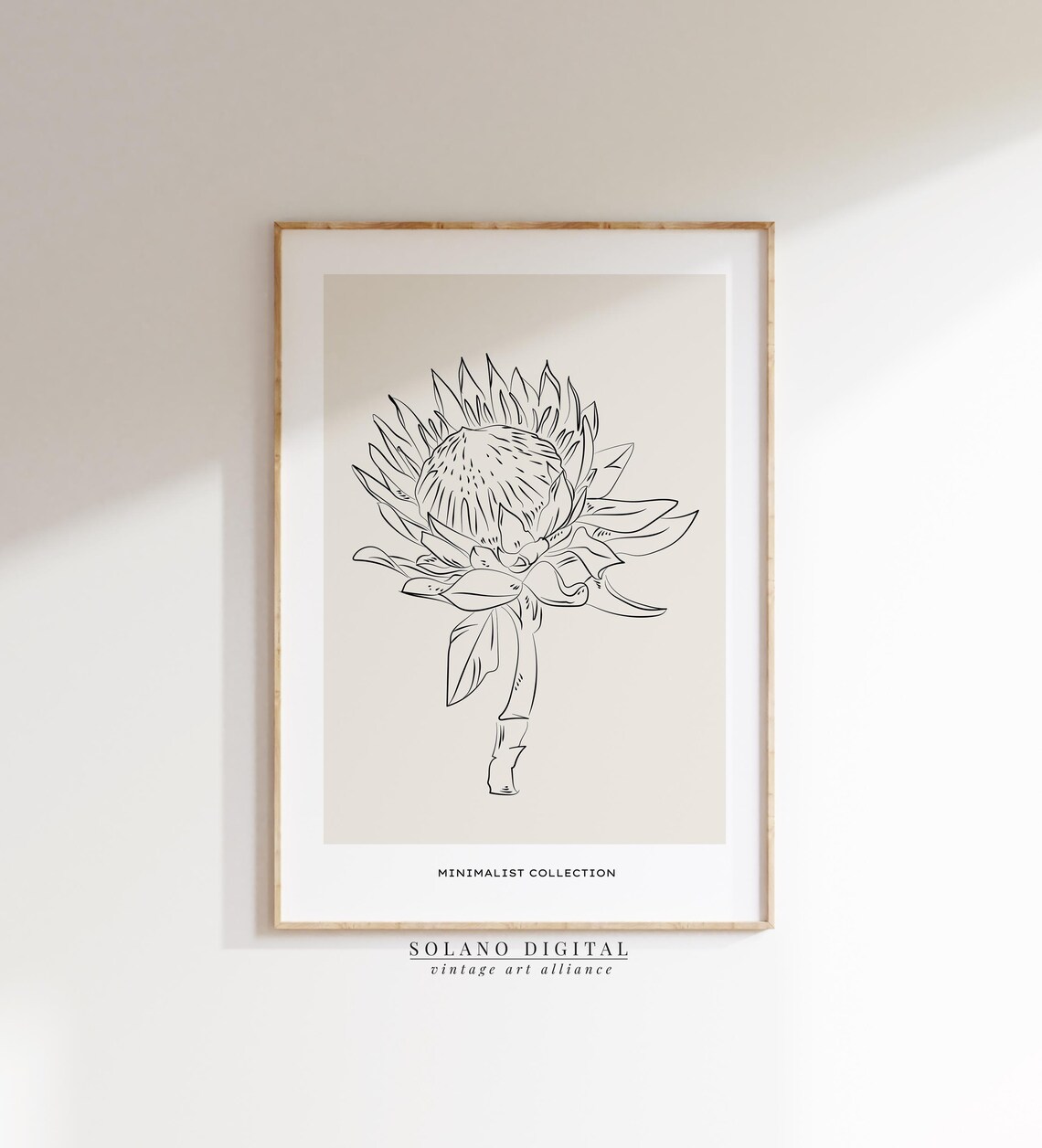 Protea Flower Line Art Botanical Minimalist Floral Wall Poster Modern Nature Illustration Plant Decor