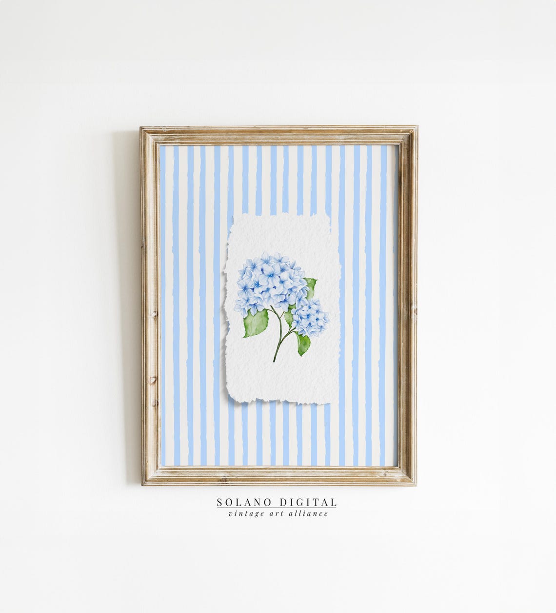 Blue Hydrangea Watercolor Striped Coastal Floral Botanical Poster