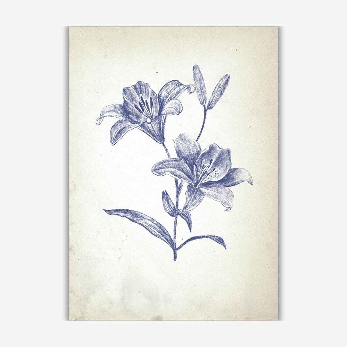 Twin Blue Lilies in a Vintage Botanical Ink Sketch Art Poster - Image 3