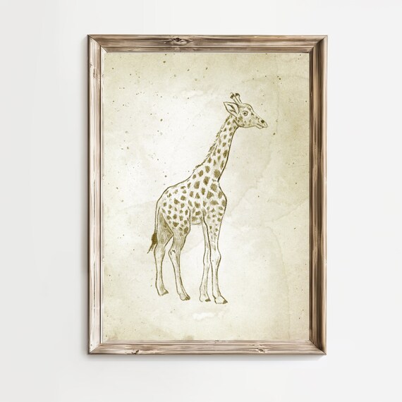Vintage Giraffe Standing Sketch Antique Nursery Decor Poster