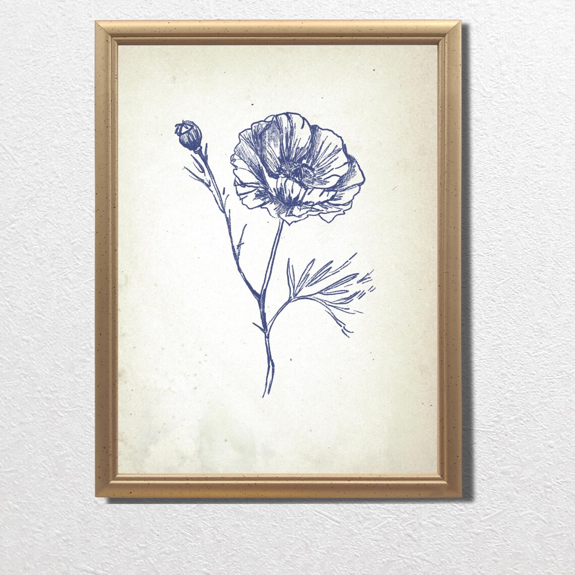 Blue Poppy Blossom in Vintage Botanical Ink Sketch Art Poster