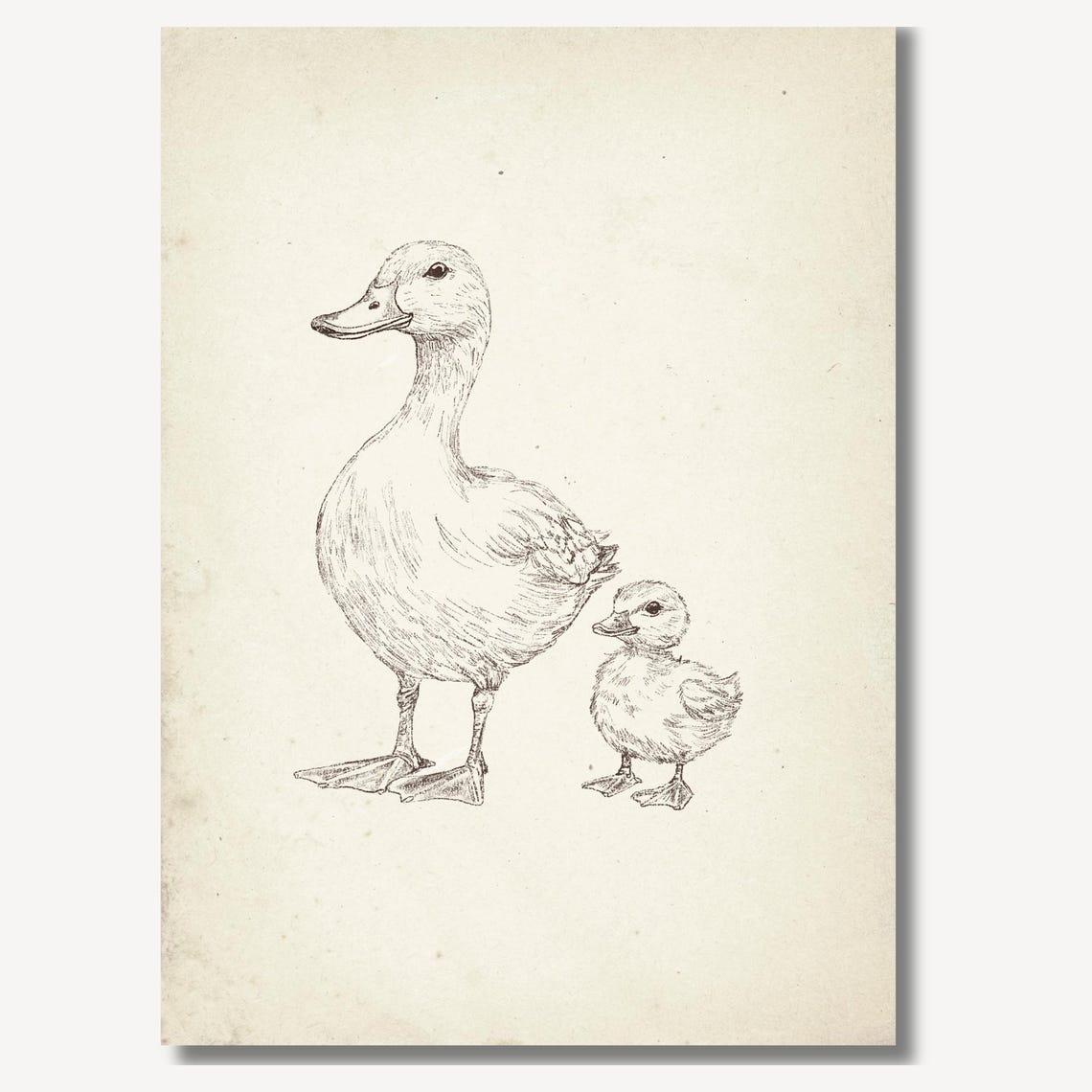 Mother Duck And Fluffy Duckling Pencil Sketch Nursery Poster - Image 2