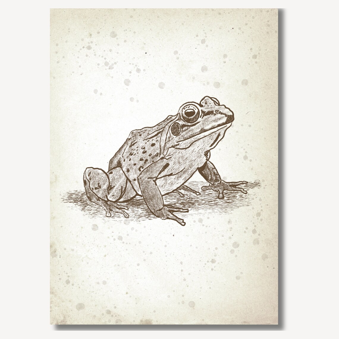 Spotted Frog Sitting Sketch Vintage Woodland Nursery Art Poster - Image 3