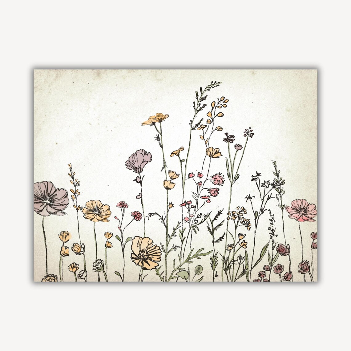 Wildflower Meadow in Pink and Yellow Vintage Botanical Art Print - Image 3