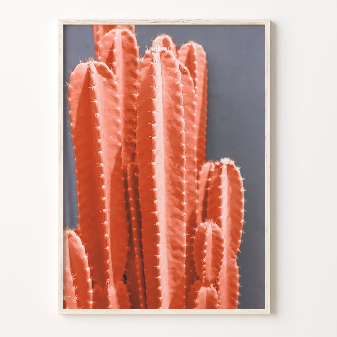 Trendy Red Cactus Columns Close Up Minimalist Botanical Poster