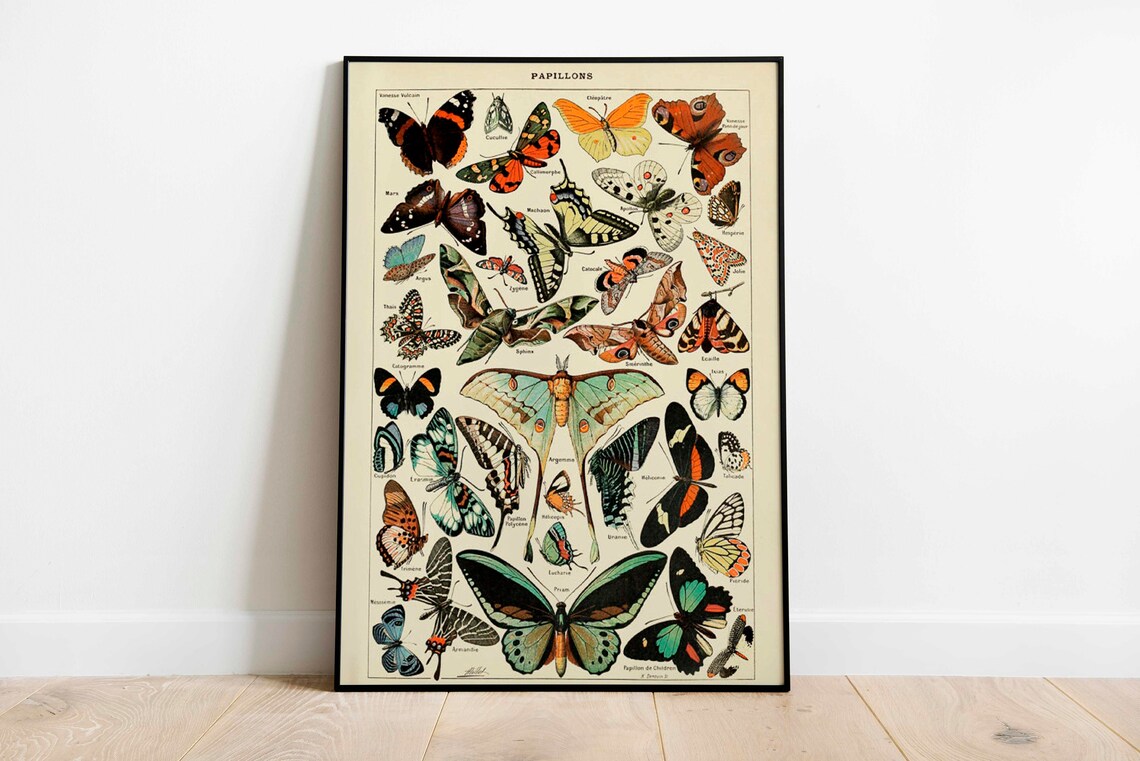 Vintage Butterflies Chart, Art Deco Poster Print - Image 3