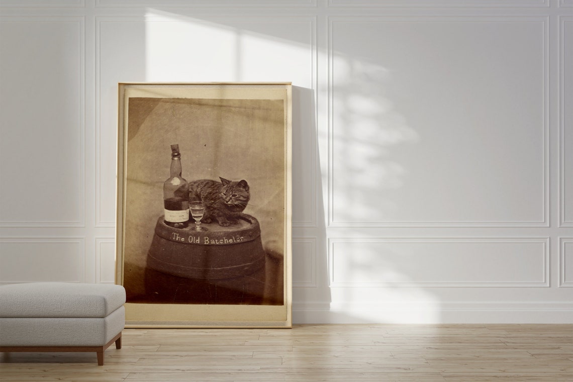 Funny Cat Bar Poster, Old Book Cover Poster Print - Image 3