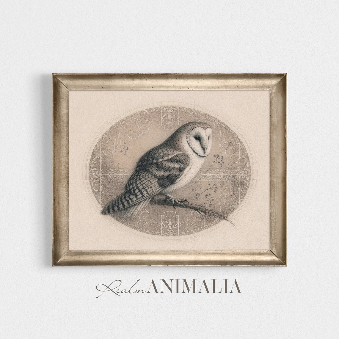 Barn Owl On Branch Oval Sketch Vintage Neutral Bird Drawing Art Print - Image 2