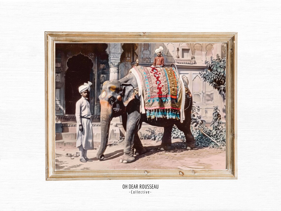 Colonial Photo Jungle Wall Art Vintage Postcard British Style Botanical Tropical Decor Commonwealth Elephant