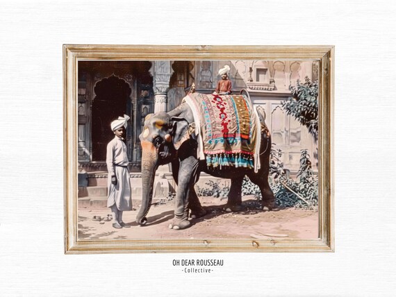 Colonial Photo Jungle Wall Art Vintage Postcard British Style Botanical Tropical Decor Commonwealth Elephant