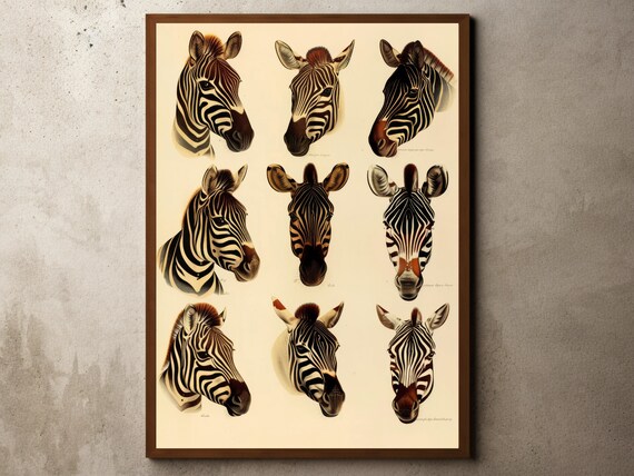 Vintage Zebra Drawing Sketch Rustic Antique Farmhouse Print Botanical Africa Game Safari Painting Illustration