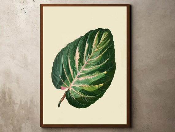 Vintage Palm Leaf Print Nature Art Botanical Tropical Jungle Palms Calathea Poster Wall Henri Rousseau
