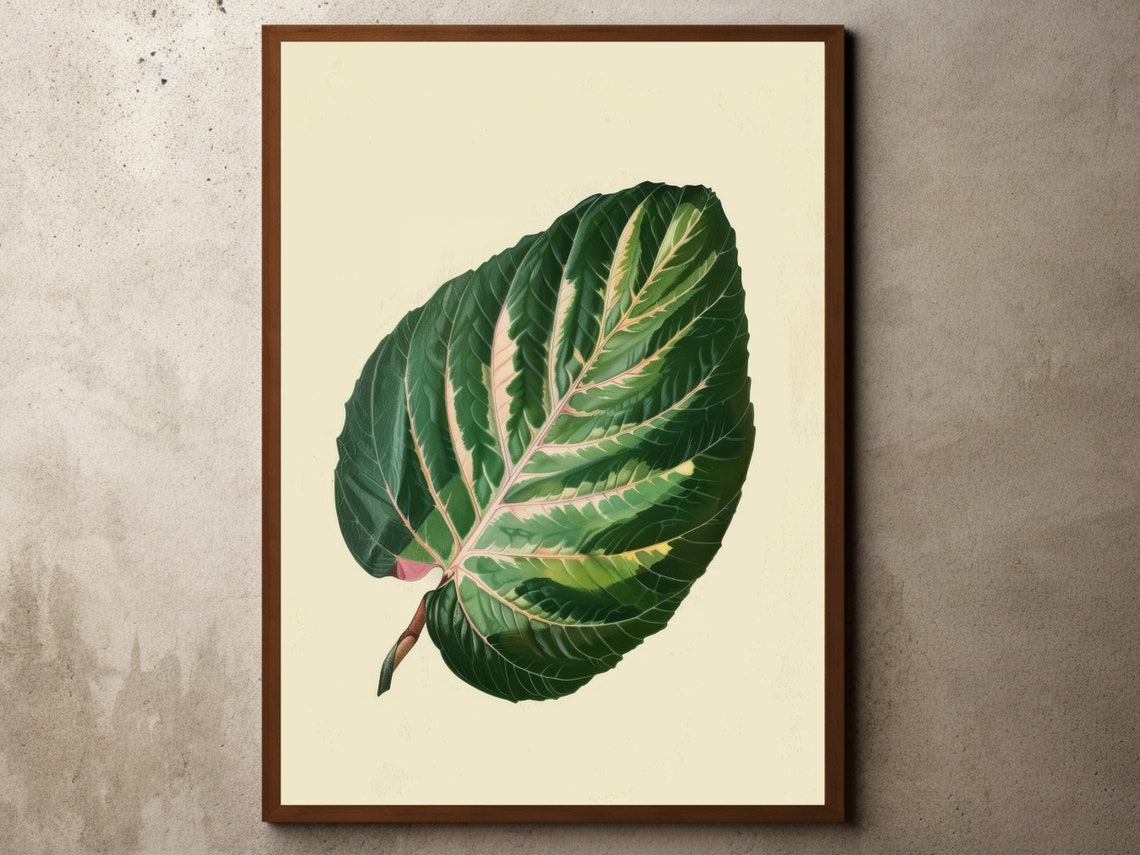 Giant Variegated Green Leaf Botanical Illustration Art Poster