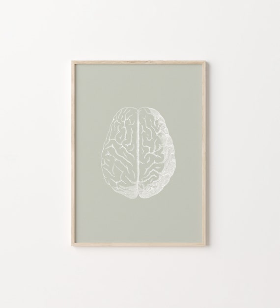 Brain Anatomy Art Poster, Therapy Office Decor