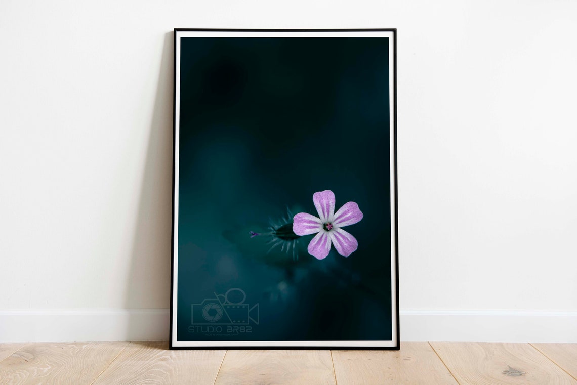 Purple Pink Flower on Dark Teal Minimalist Botanical Photo Poster