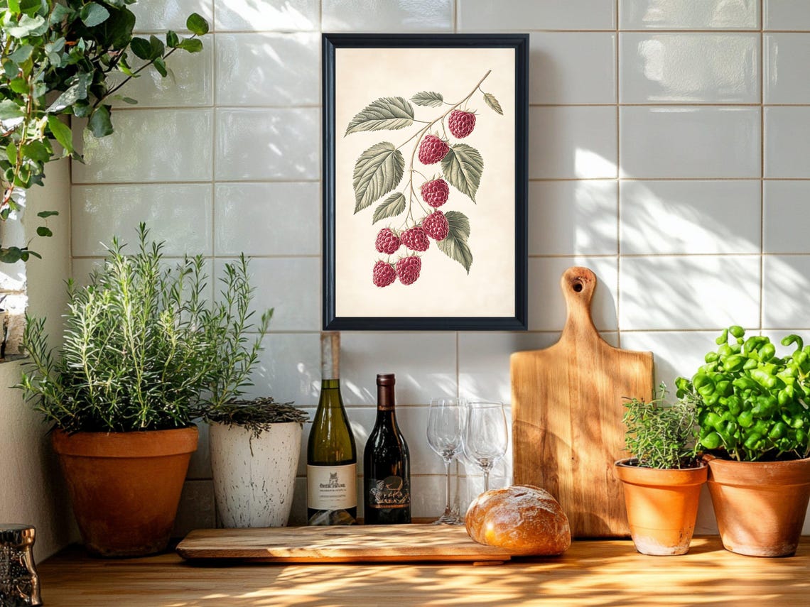 Vintage Raspberry Branch Botanical Berry Illustration Poster - Image 2