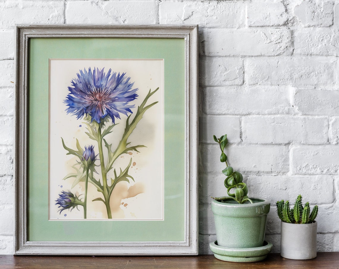 Blue Cornflower and Buds Watercolor Rustic Botanical Art Poster - Image 5