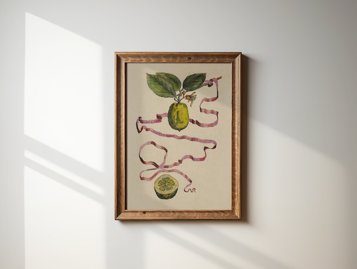 Vintage Limes Still Life Art Print, Cottage Core - Image 3