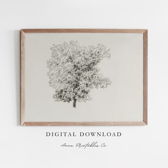 Tree Sketch Iii Antique Tree Etching Print For Vintage Minimalist Wall Art Cottage Home Fine Art Print Decor