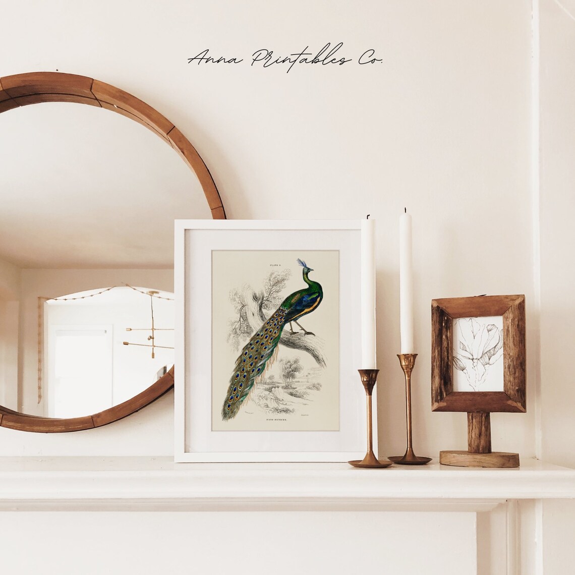 Antique Peacock Illustration Vintage Bird Art Print - Image 2