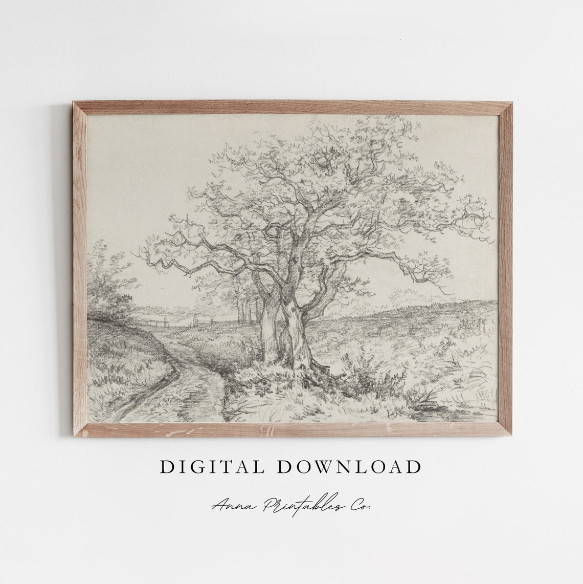 Gnarled Old Tree Pencil Sketch Vintage Countryside Drawing Poster