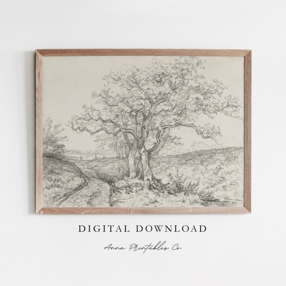Tree Sketch V Antique Landscape Drawing For Rustic Nature Wall Art Vintage Fine Art Print Farmhouse Decor