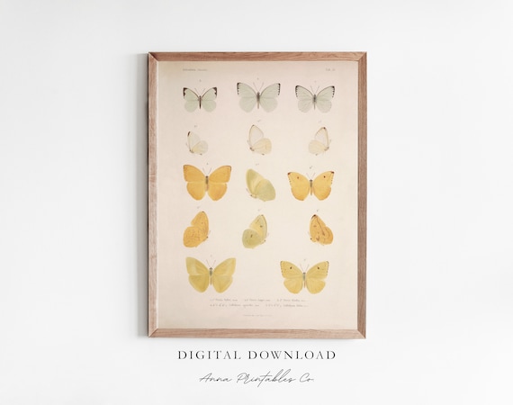 Butterfly Study Antique Butterfly Poster, Cottagecore Decor