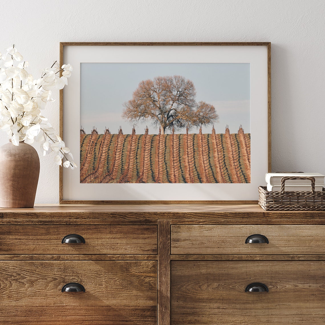 California Wine Country Vineyard Rows Lone Tree Golden Light Poster - Image 4