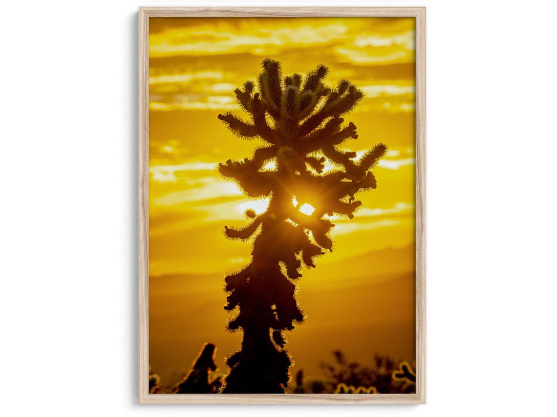 Cholla Cactus Silhouette Golden Desert Sunset Joshua Tree Poster - Image 2