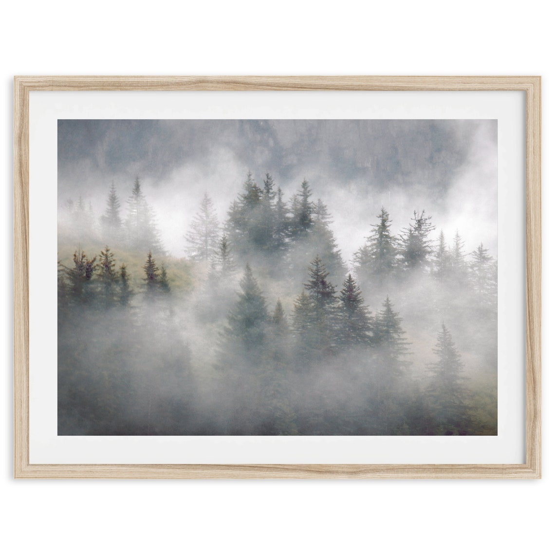 Misty Evergreen Forest In Fog Layers Moody Mountain Trees Wall Art