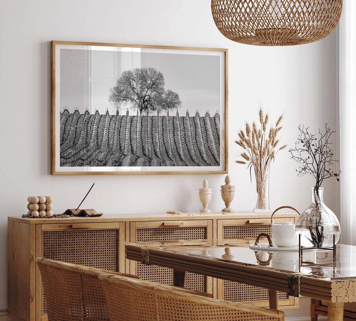Vineyard Rows Black and White Landscape Art Print - Image 4
