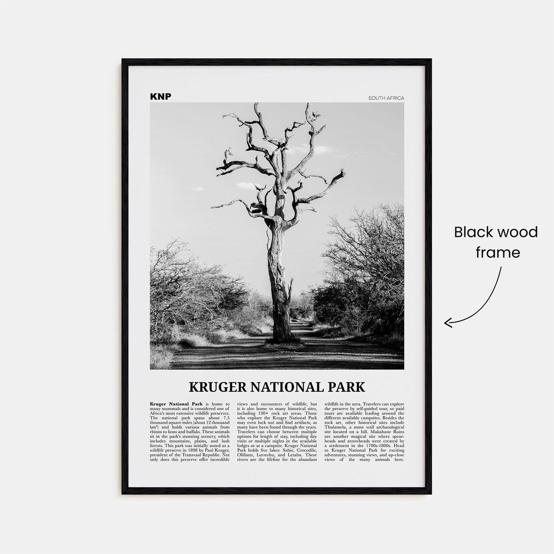 Kruger National Park Black and White Travel Poster - Image 3