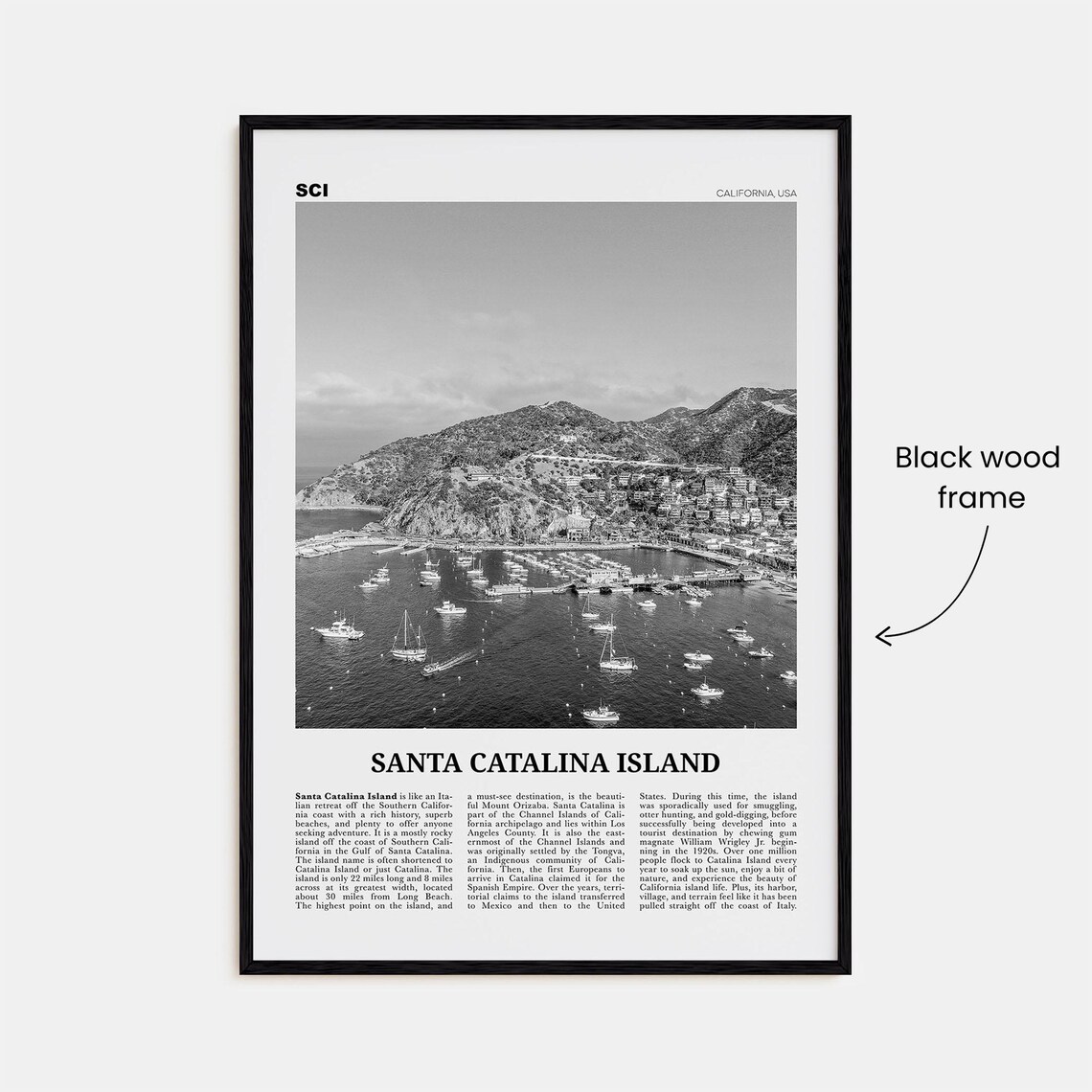 Santa Catalina Island Black And White No. 2 Art Print - Image 3