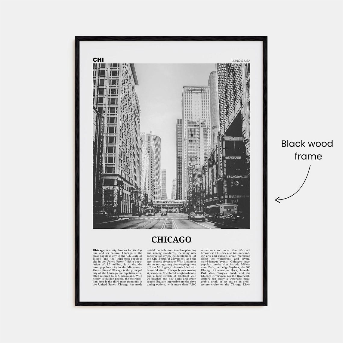 Chicago Black and White Travel Poster, Illinois USA - Image 3
