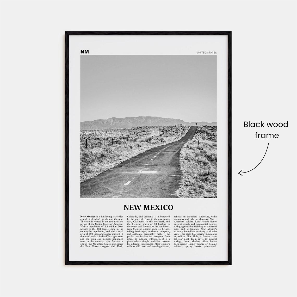 New Mexico No. 1 Black and White Travel Poster Print - Image 3