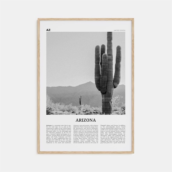 Arizona Black and White Travel Poster, United States