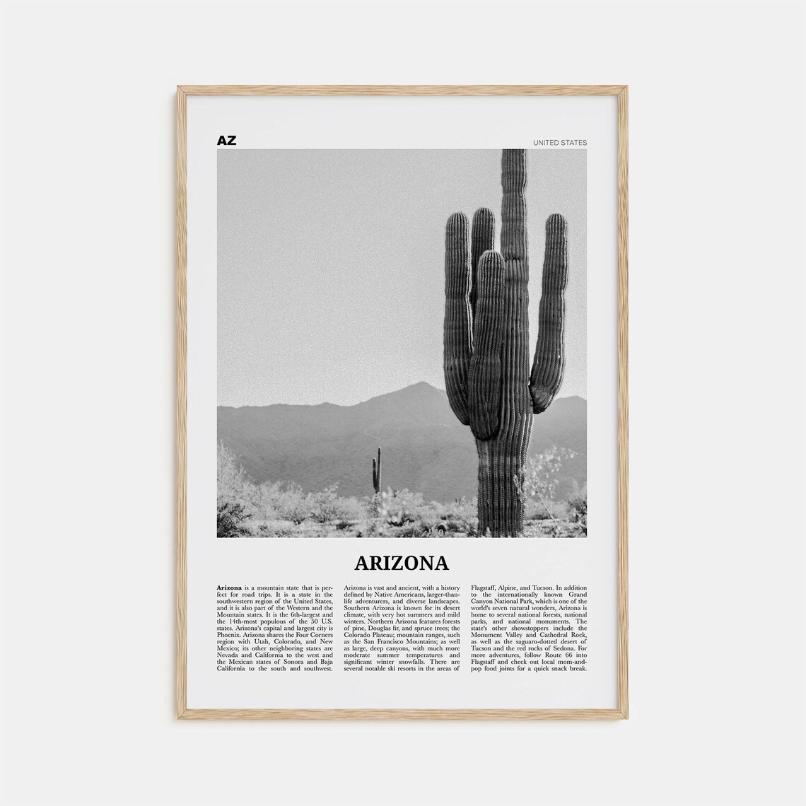 Arizona Black and White Travel Poster, United States