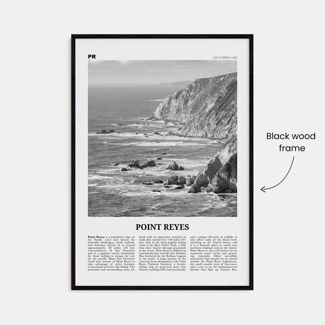 Point Reyes Black and White California Travel Poster - Image 3