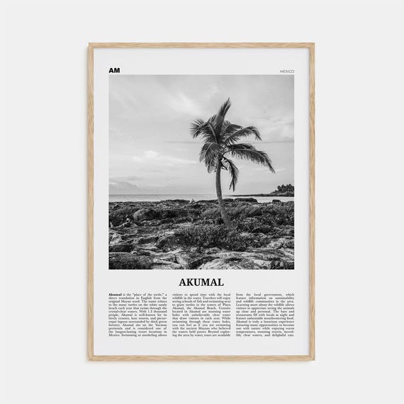 Akumal Mexico Black And White Travel Poster Art Print