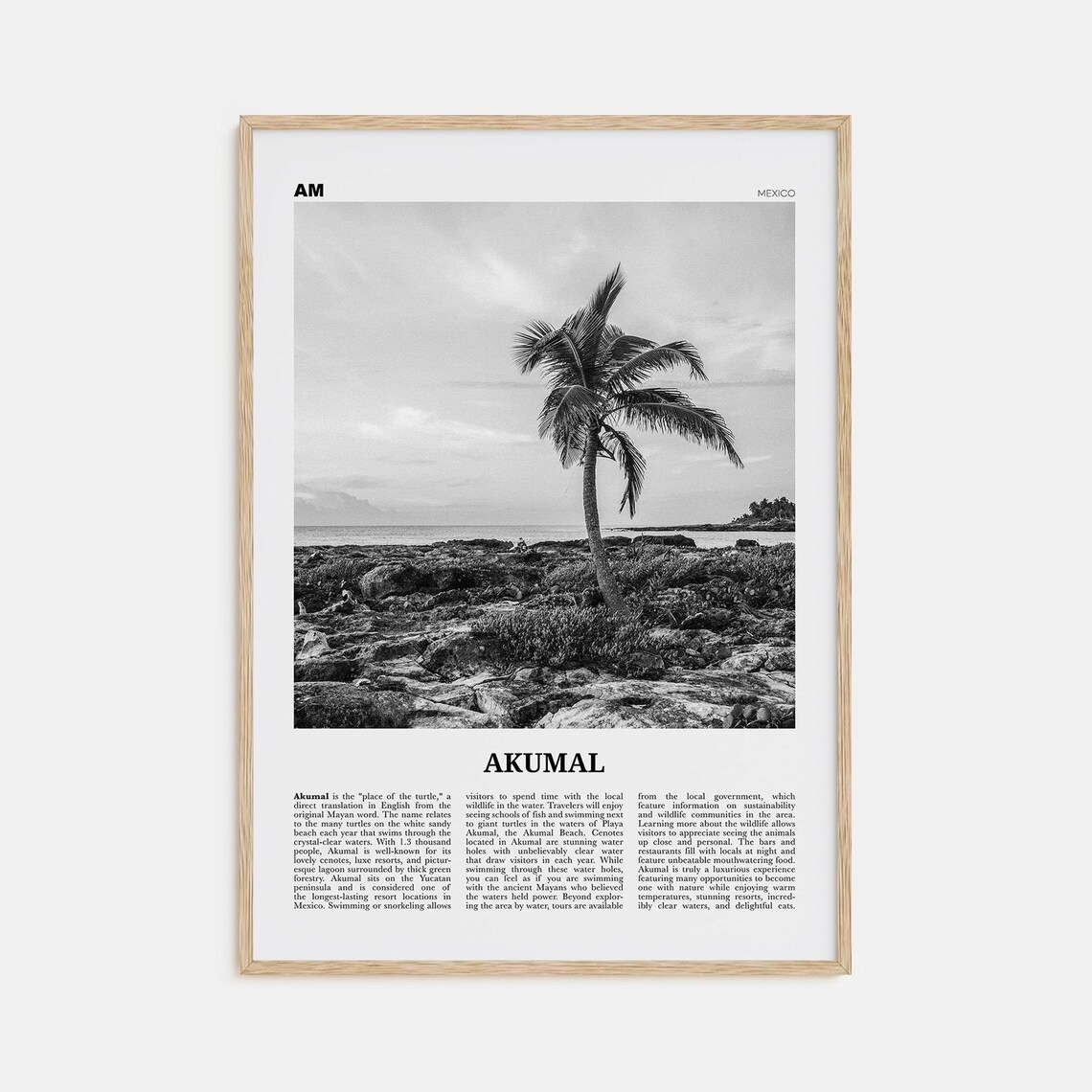 Akumal Mexico Black And White Travel Poster Art Print