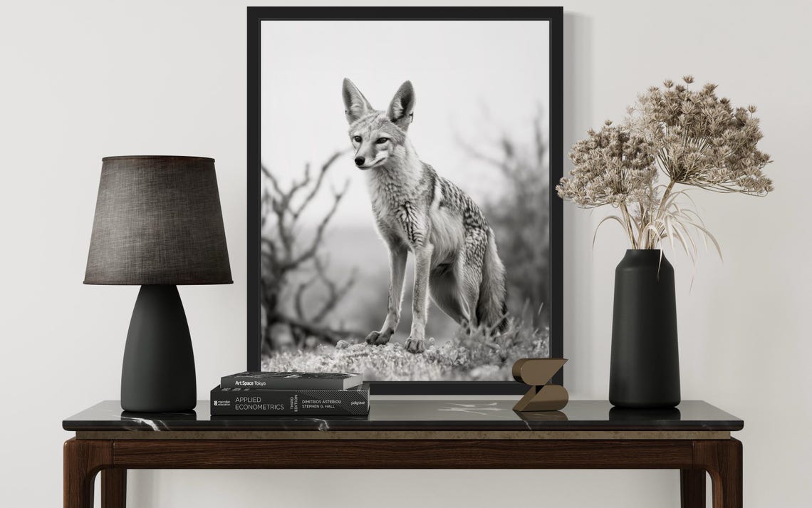 Black-Backed Jackal Standing Alert Black and White Photo Poster - Image 2