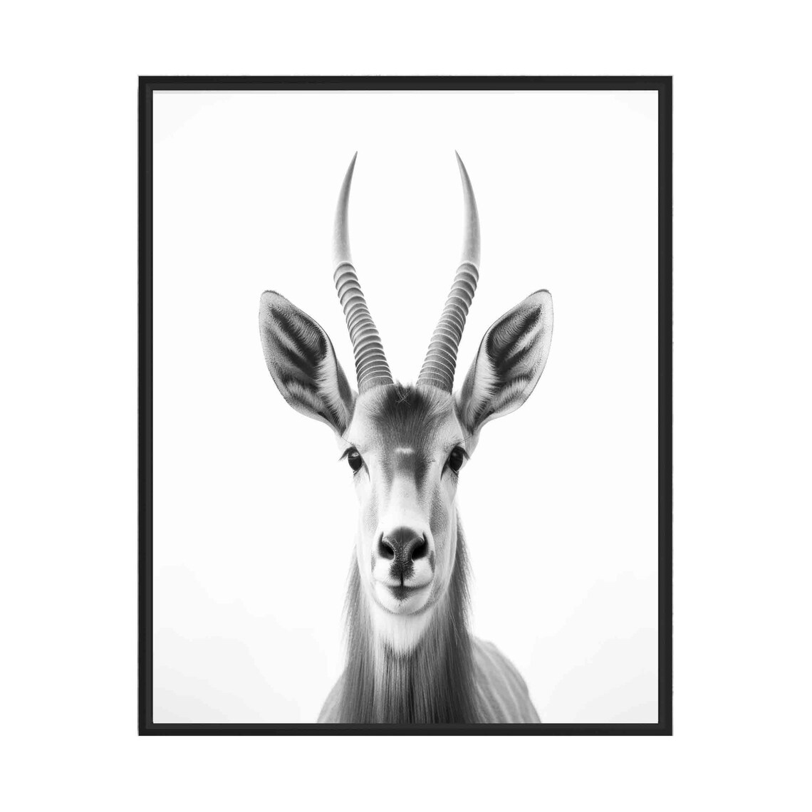 Elegant Antelope Portrait with Long Horns in Black and White Poster