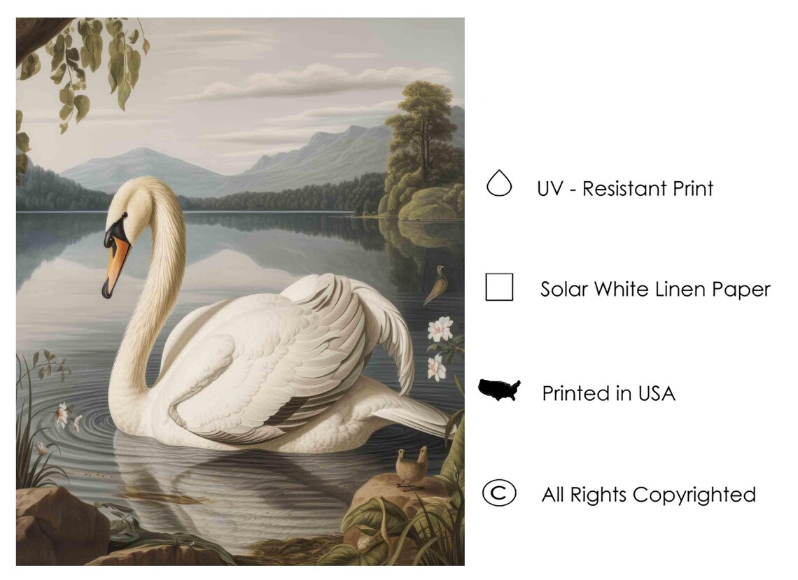 Mute Swan Gliding on a Calm Mountain Lake Vintage Waterfowl Poster - Image 3