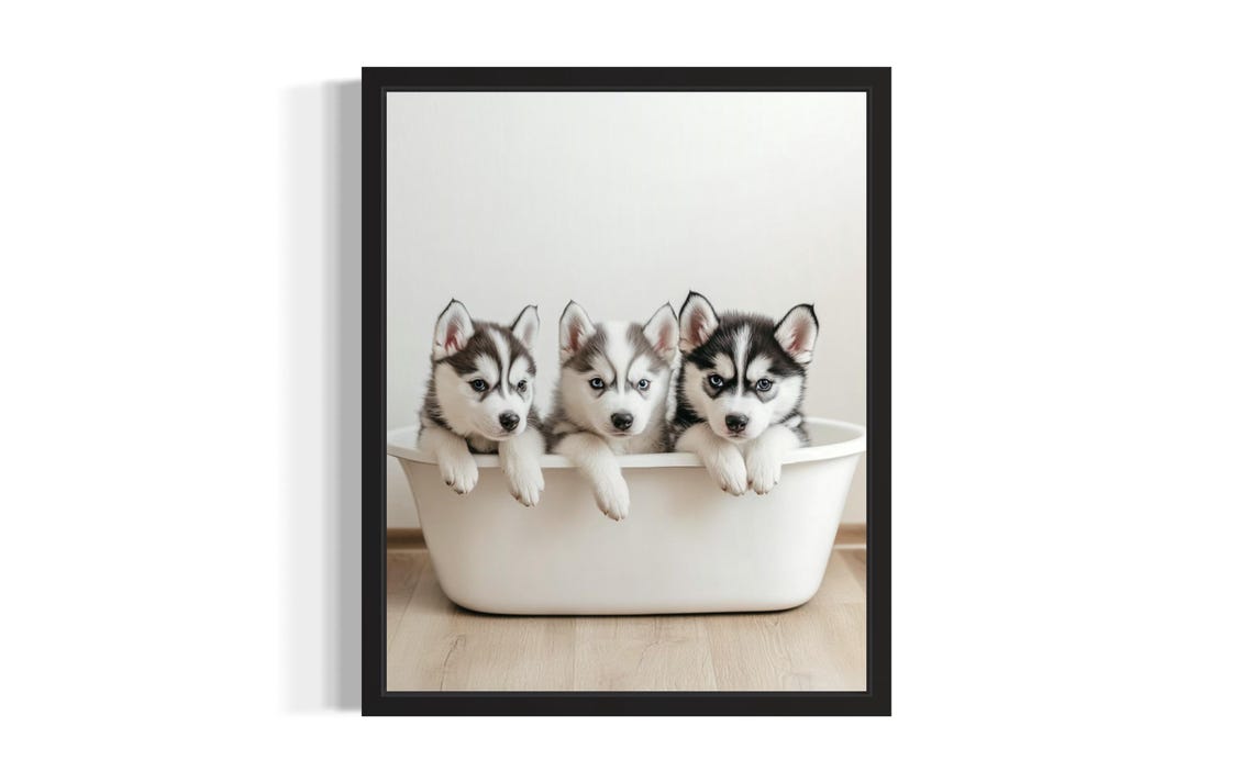 Three Siberian Husky Puppies in a Bathtub Funny Dog Photo Poster