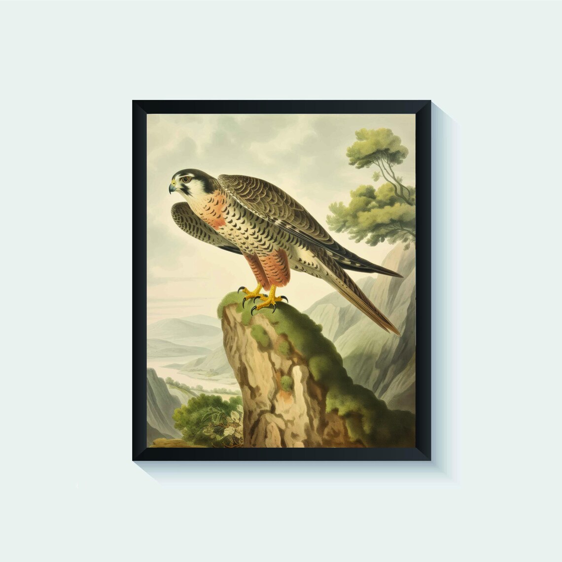 Peregrine Falcon on a Mossy Cliff Vintage Bird of Prey Poster