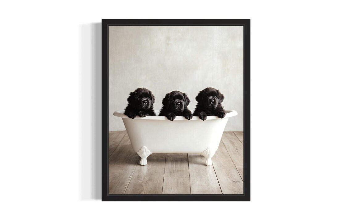 Newfoundland Puppies In Bathtub Three Black Fluffy Pup Trio Poster