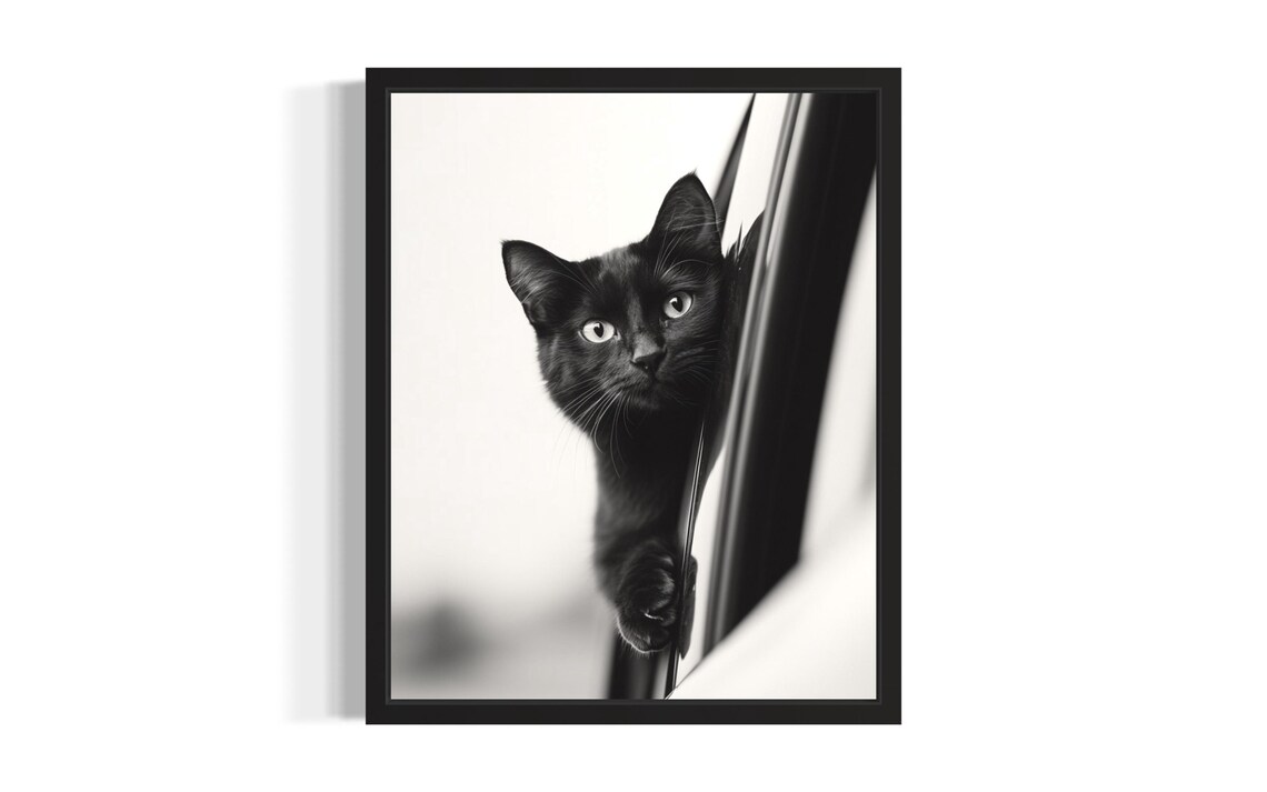 Black Cat Looking Out Car Window Black And White Pet Photography Poster