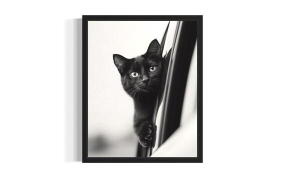 Black Cat Looking Out Car Window Black And White Pet Photography Poster